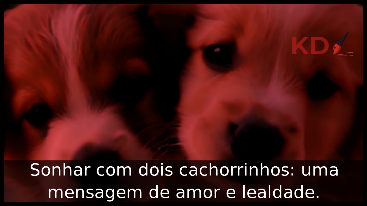 Sonhar com dois cachorrinhos: uma mensagem de amor e lealdade. 11 Sonhar com dois cachorrinhos: uma mensagem de amor e lealdade.