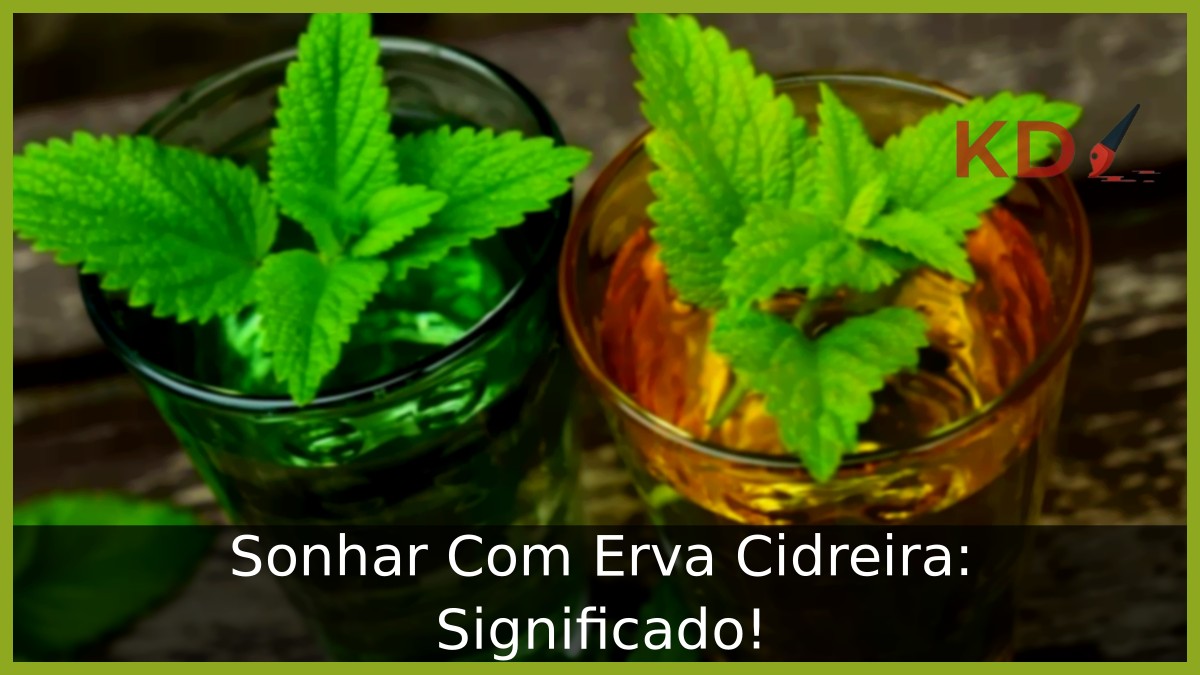 Sonhar Com Erva Cidreira: Significado!