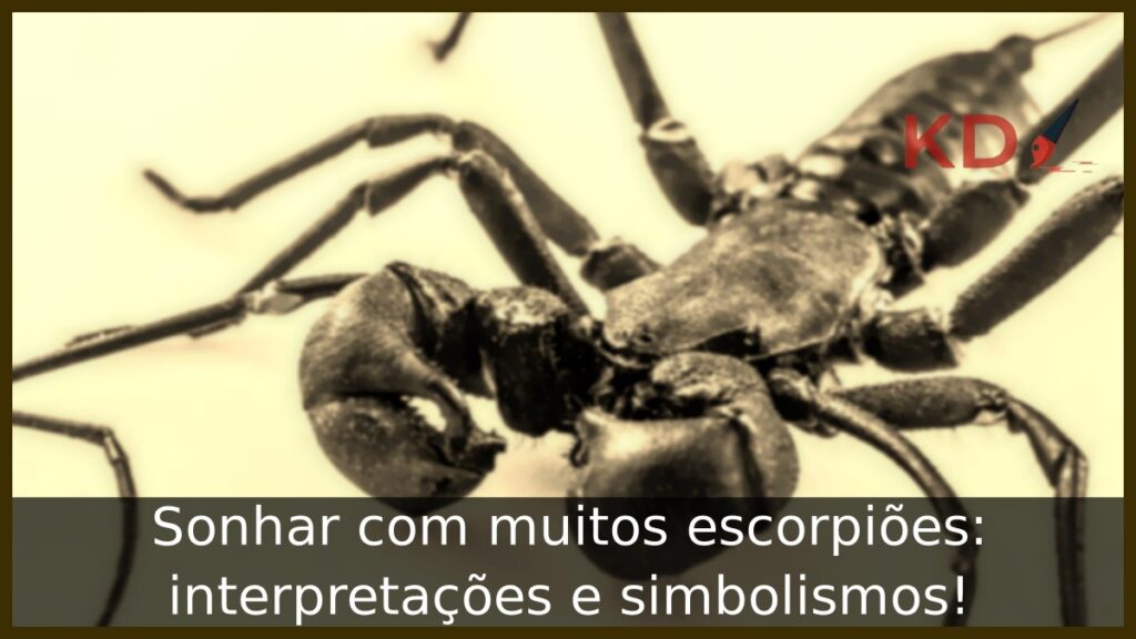 Sonhar com muitos escorpiões: interpretações e simbolismos! 1 Sonhar com muitos escorpiões: interpretações e simbolismos!