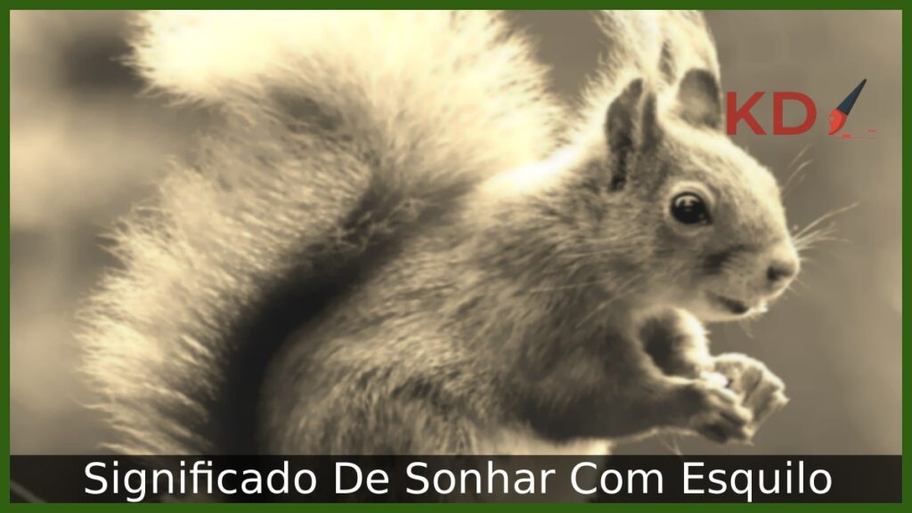 Sonhar Com Esquilo