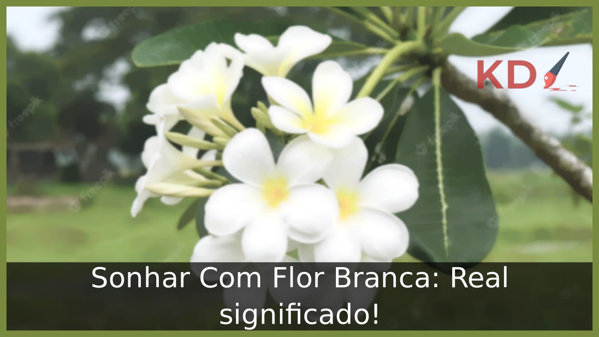 Sonhar Com Flor Branca