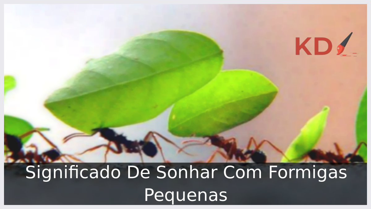 Sonhar Com Formigas Pequenas