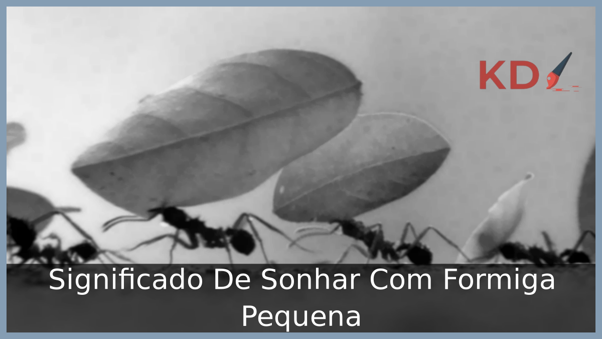 Sonhar Com Formiga Pequena