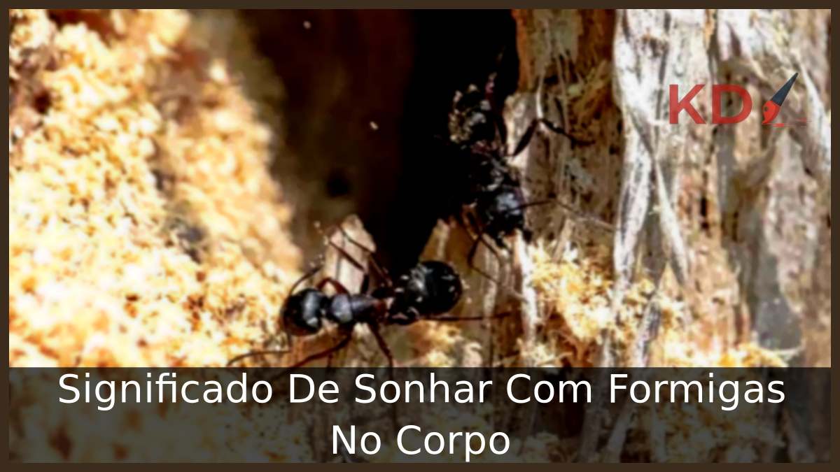 Sonhar Com Formigas No Corpo