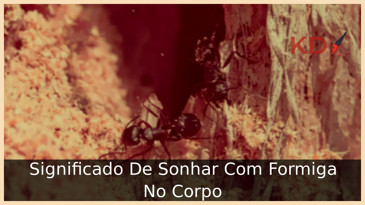 Significado De Sonhar Com Formiga No Corpo 15 Sonhar Com Formiga No Corpo