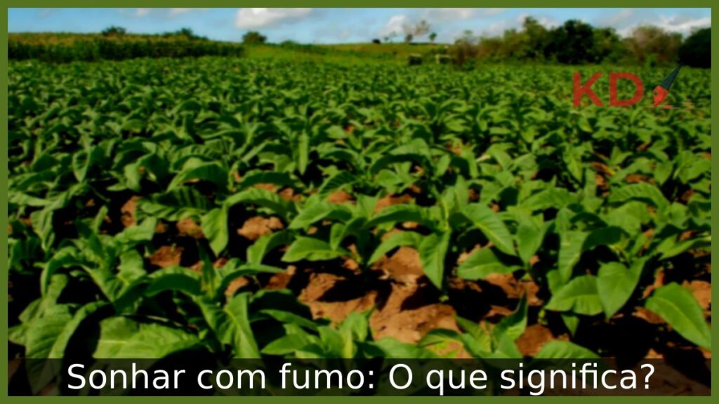 Sonhar com fumo: O que significa? 1 Sonhar com fumo: O que significa?