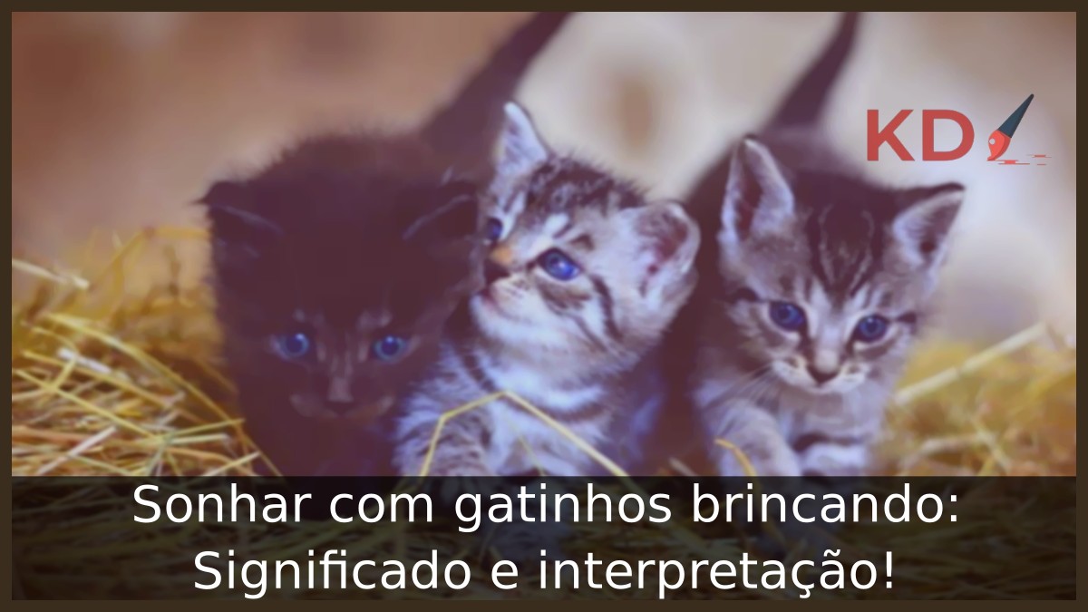 Sonhar com gatinhos brincando: Significado e interpretação! 19 Sonhar com gatinhos brincando: Significado e interpretação!