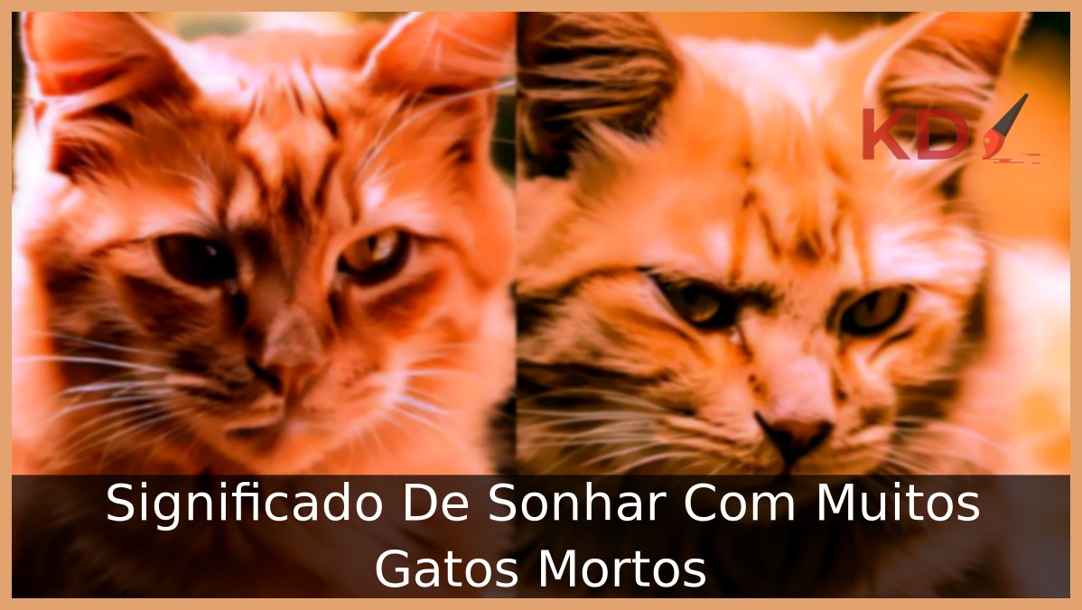Significado De Sonhar Com Muitos Gatos Mortos 21 Sonhar Com Muitos Gatos Mortos