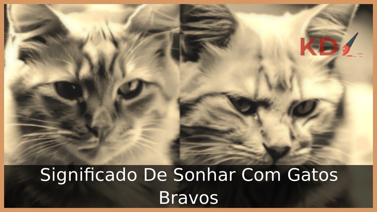 Significado De Sonhar Com Gatos Bravos - gato 1 1