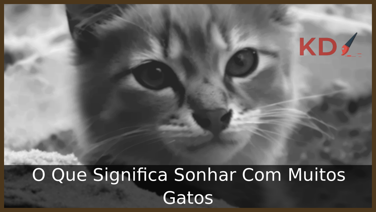 O Que Significa Sonhar Com Muitos Gatos 21 Sonhar Com Muitos Gatos