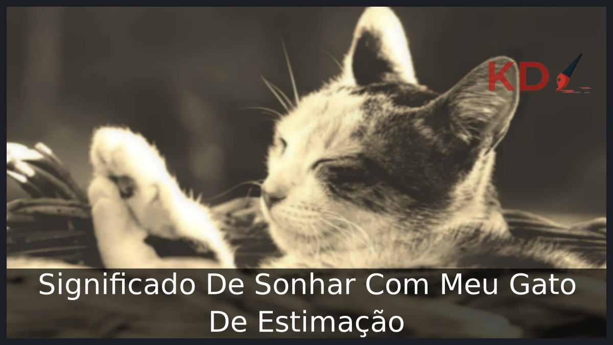 Sonhar Com Meu Gato De Estimação: Entenda o verdadeiro significado! 3 Sonhar Com Meu Gato De Estimação