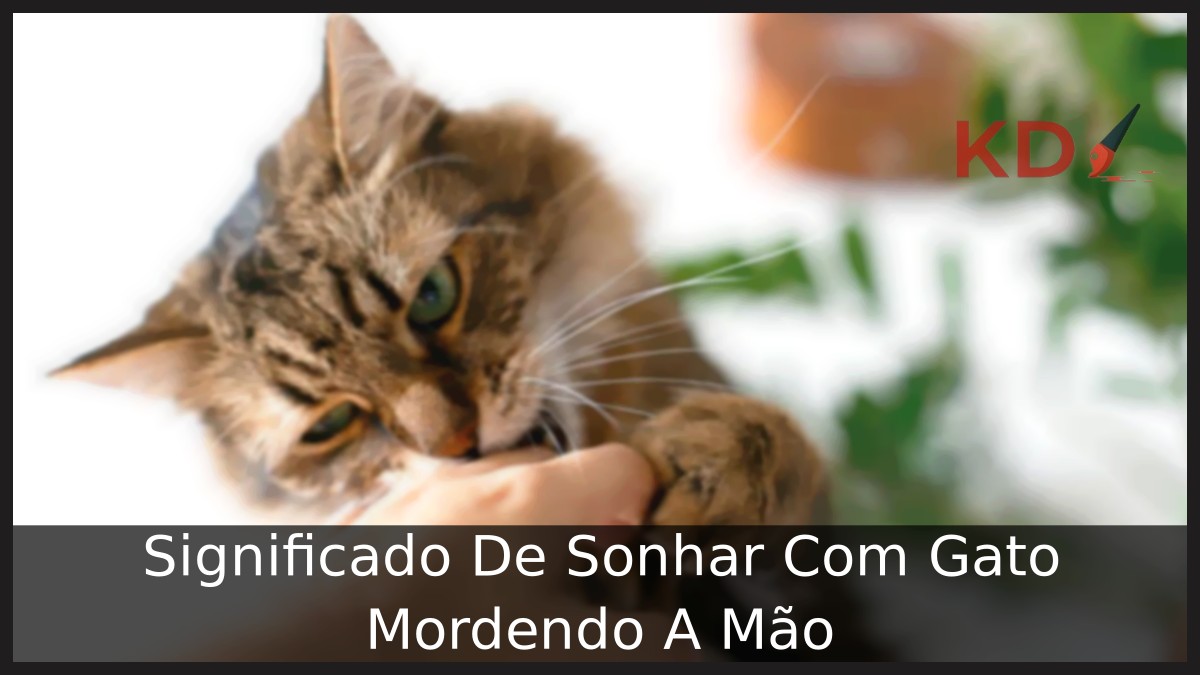 Sonhar Com Gato Mordendo A Mão: O que Significa? 1 Sonhar Com Gato Mordendo A Mão