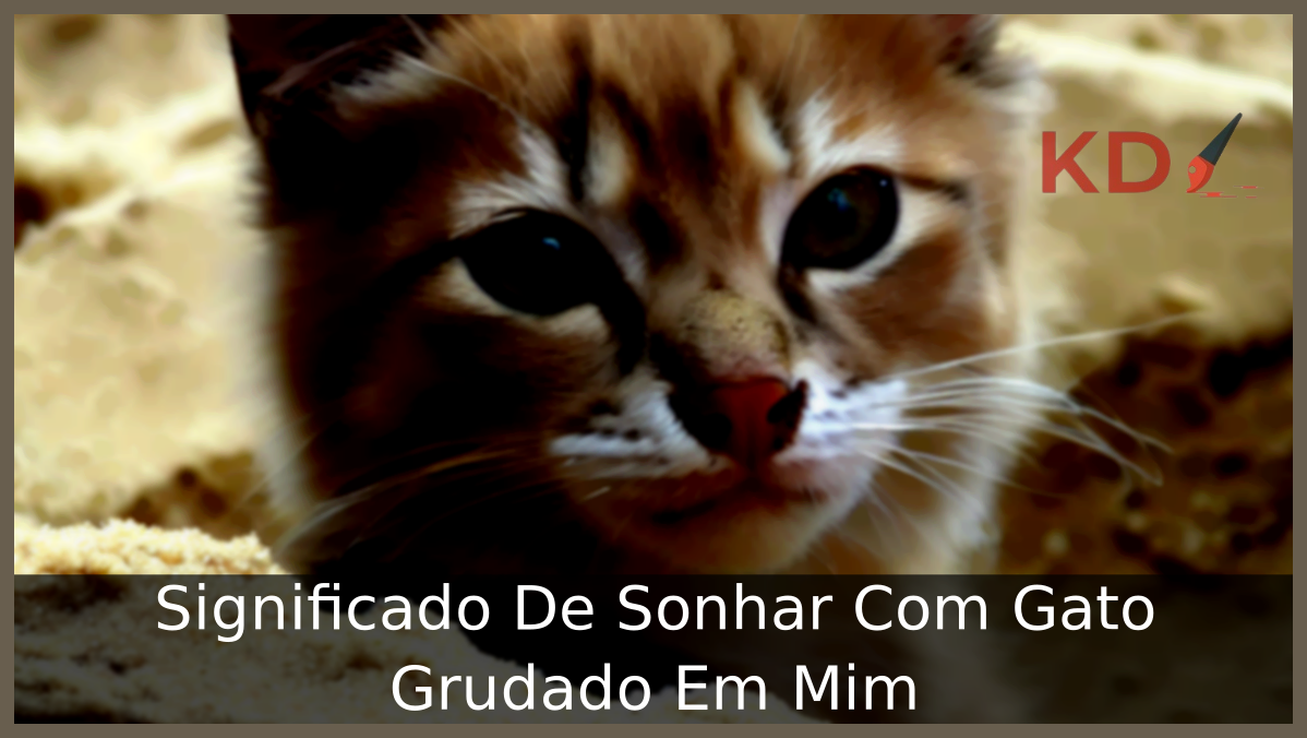 Sonhar Com Gato Grudado