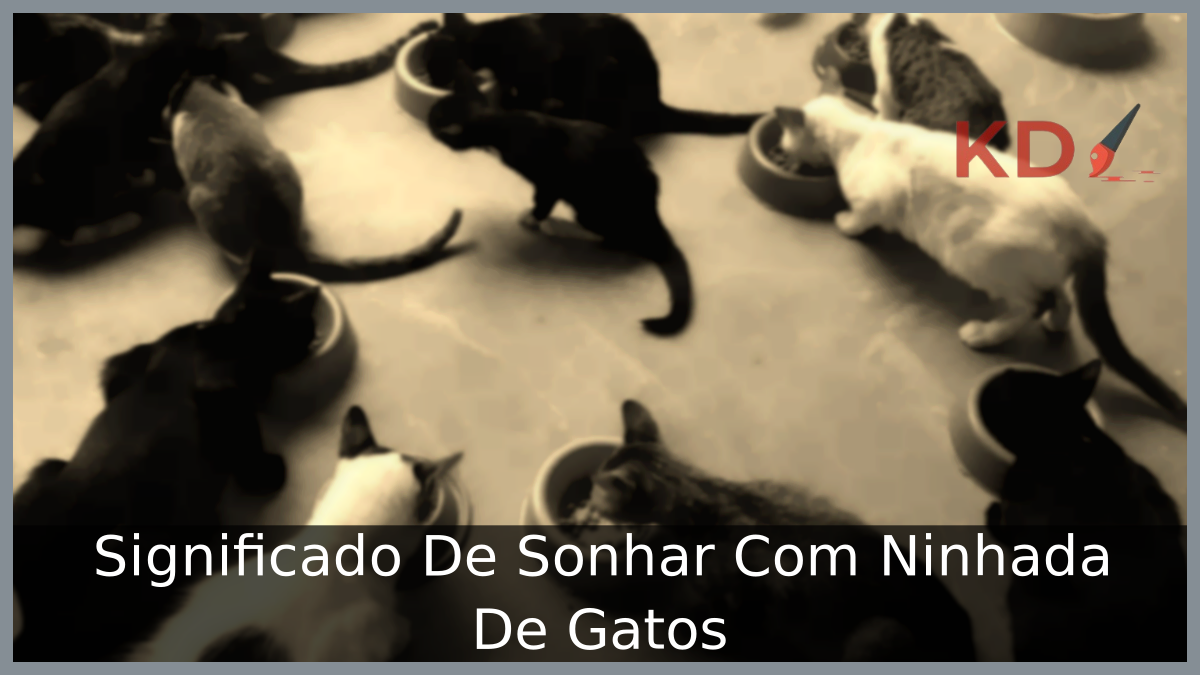Significado De Sonhar Com Ninhada De Gatos 23 Sonhar Com Ninhada De Gatos