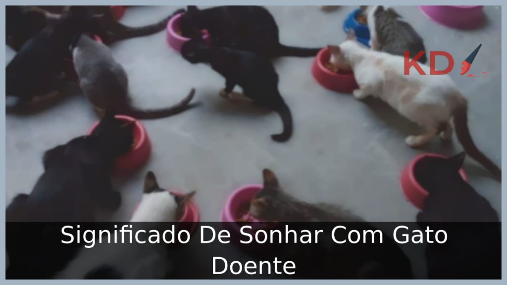 Sonhar Com Gato Doente