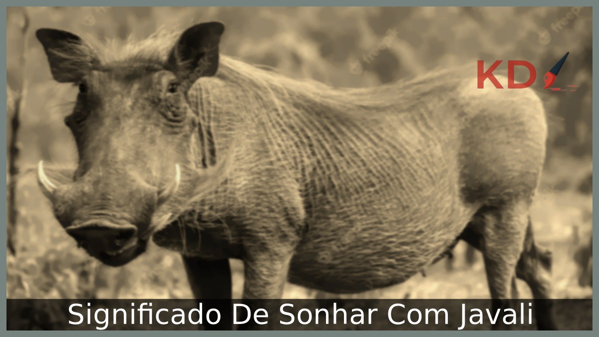 Sonhar Com Javali: Real significado! 10 Sonhar Com Javali