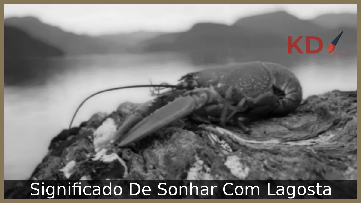 Sonhar Com Lagosta: Real Significado! 8 Sonhar Com Lagosta