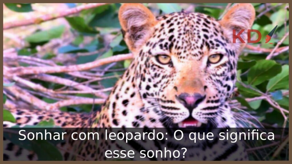 Sonhar com leopardo: O que significa esse sonho?