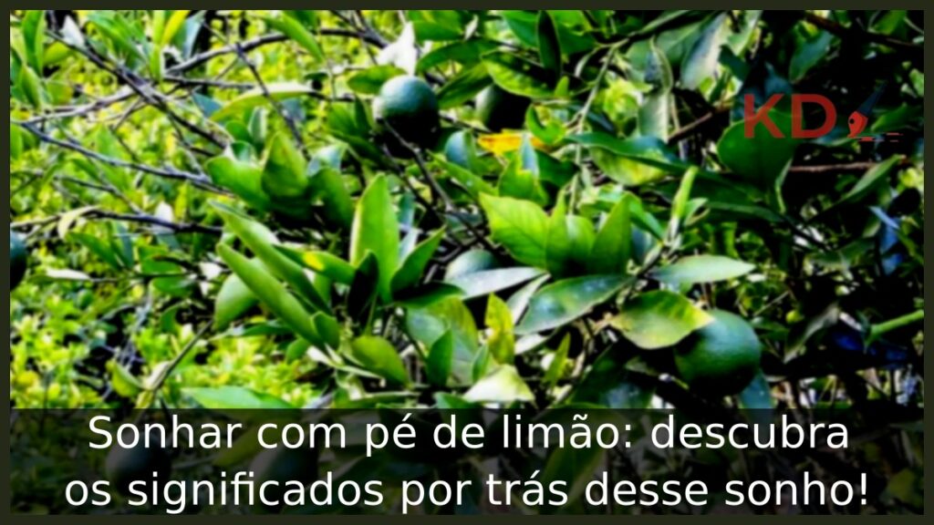 Sonhar com pé de limão: descubra os significados por trás desse sonho!
