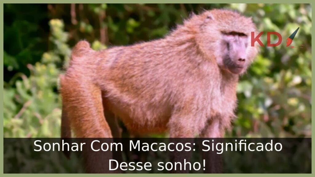 Sonhar Com Macacos