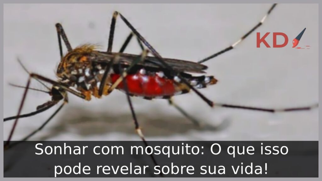 Sonhar com mosquito: O que isso pode revelar sobre sua vida! 1 Sonhar com mosquito: O que isso pode revelar sobre sua vida!