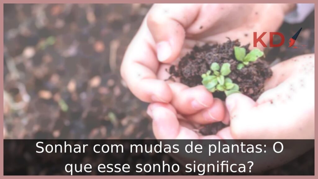 Sonhar com mudas de plantas: O que esse sonho significa? 1 Sonhar com mudas de plantas: O que esse sonho significa?
