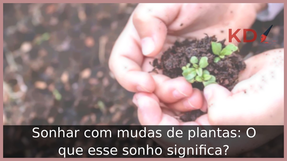 Sonhar com mudas de plantas: O que esse sonho significa? 19 Sonhar com mudas de plantas: O que esse sonho significa?