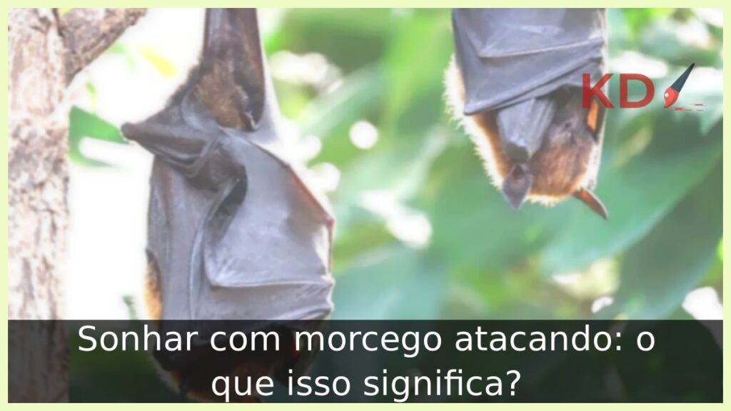 Sonhar com morcego atacando: o que isso significa? 1 Sonhar com morcego atacando: o que isso significa?