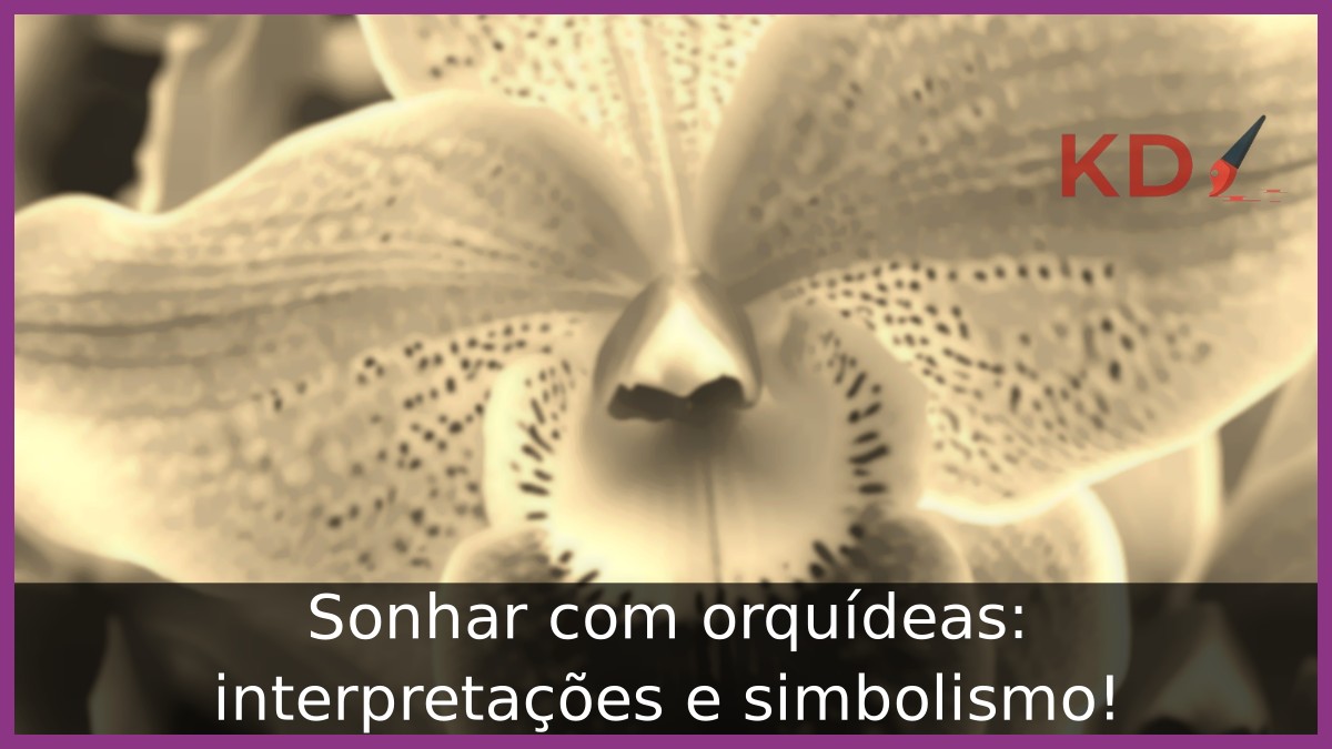 Sonhar com orquídeas: interpretações e simbolismo! 5 Sonhar com orquídeas: interpretações e simbolismo!