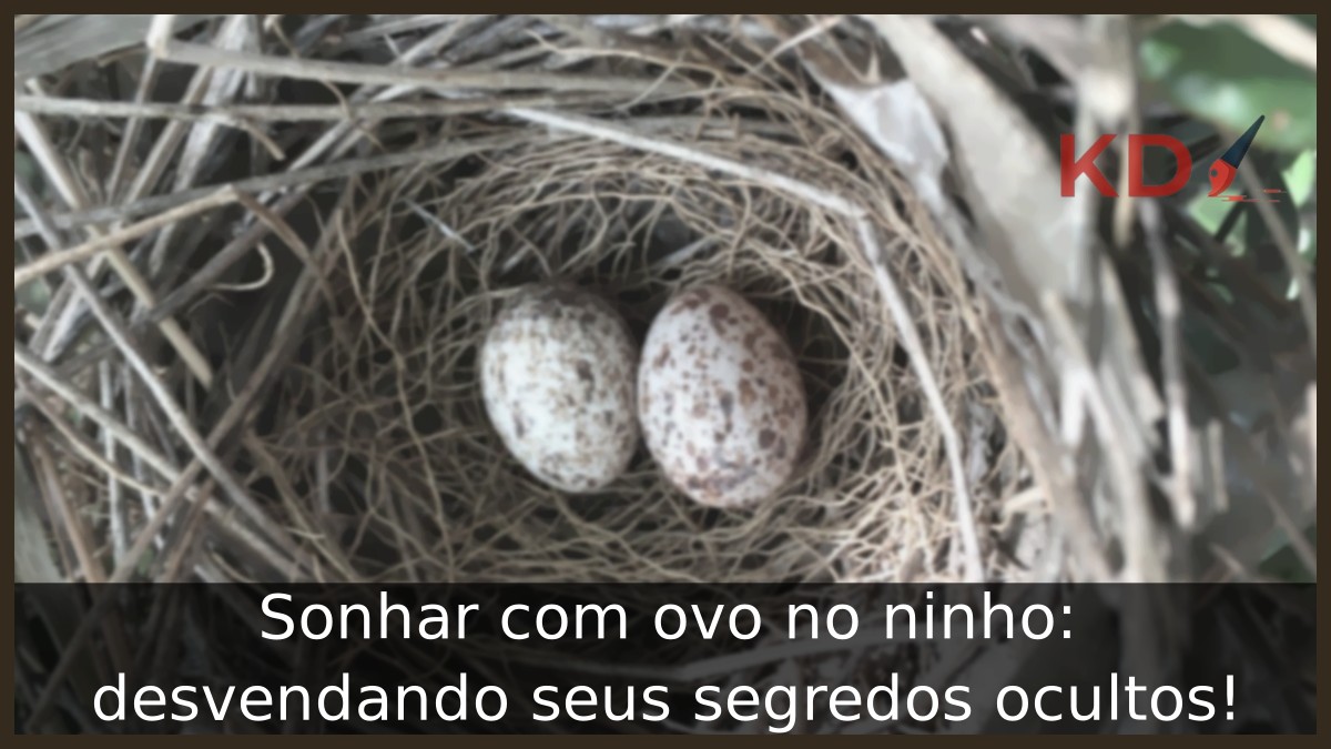 Sonhar com ovo no ninho: desvendando seus segredos ocultos! 11 Sonhar com ovo no ninho: desvendando seus segredos ocultos!
