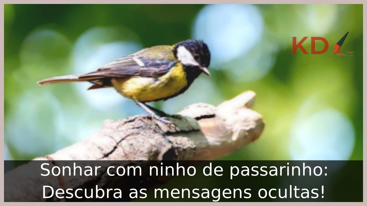 Sonhar com ninho de passarinho: Descubra as mensagens ocultas! 9 Sonhar com ninho de passarinho: Descubra as mensagens ocultas!