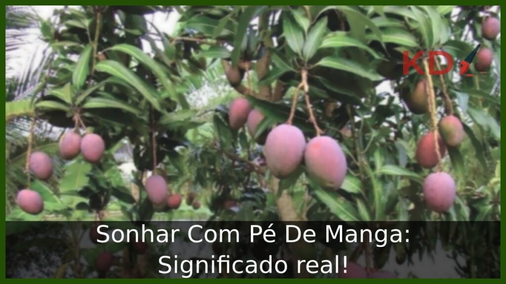 Sonhar Com Pé De Manga
