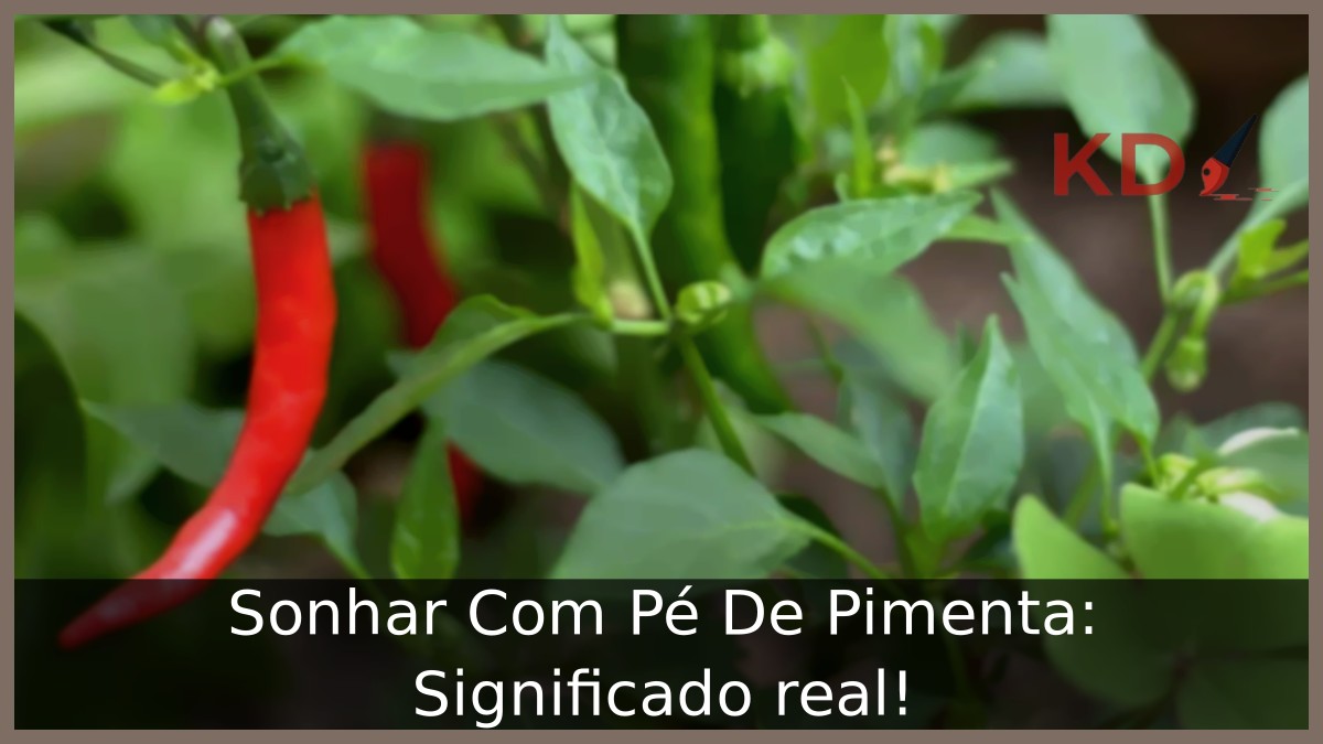 Sonhar Com Pé De Pimenta: Significado real! 6 Sonhar Com Pé De Pimenta: Significado real!