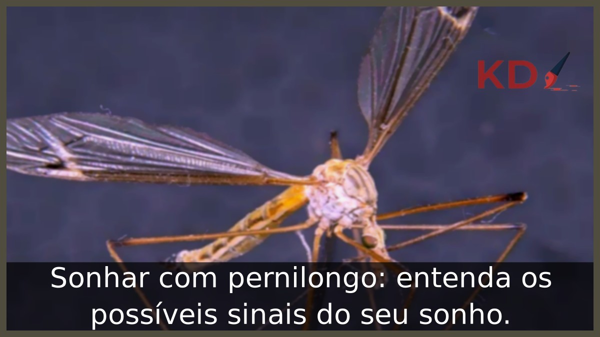 Sonhar com pernilongo: entenda os possíveis sinais do seu sonho.
