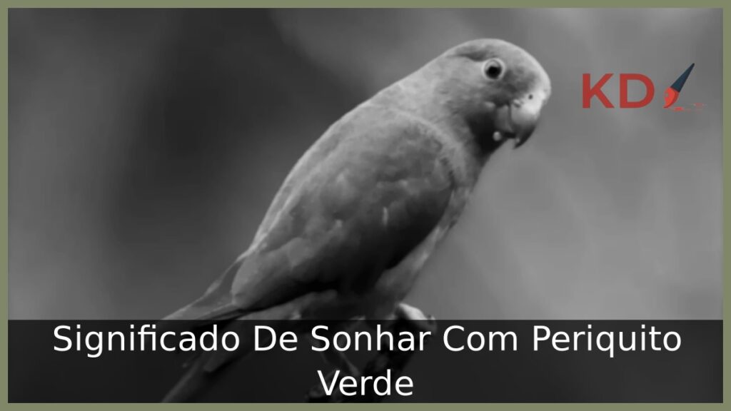 Sonhar Com Periquito Verde: Significado real! 1 Sonhar Com Periquito Verde
