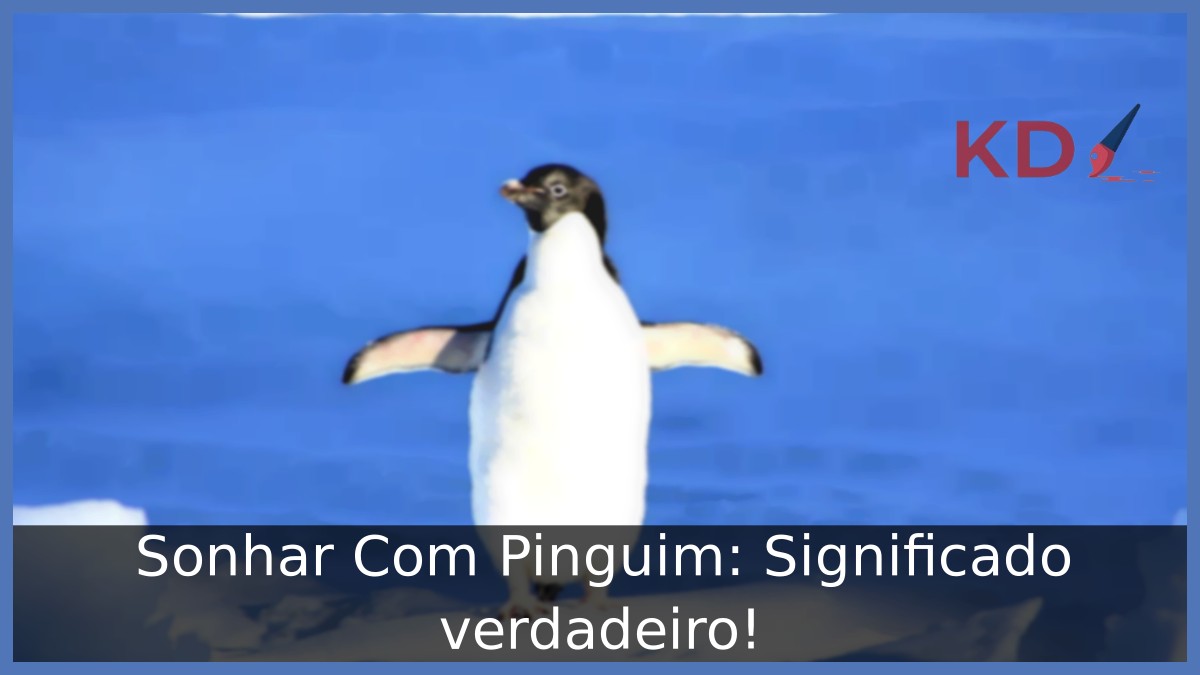 Sonhar Com Pinguim: Significado verdadeiro! 1 Sonhar Com Pinguim