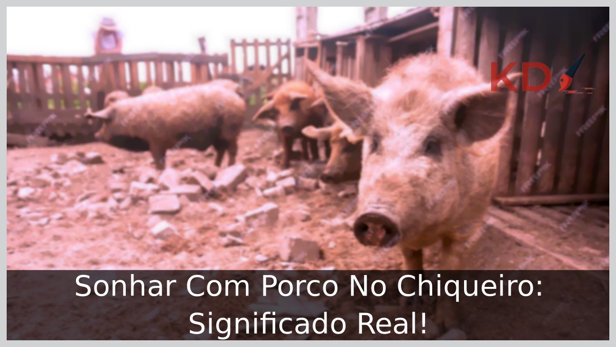Sonhar Com Porco No Chiqueiro: Significado Real! 4 Sonhar Com Porco No Chiqueiro