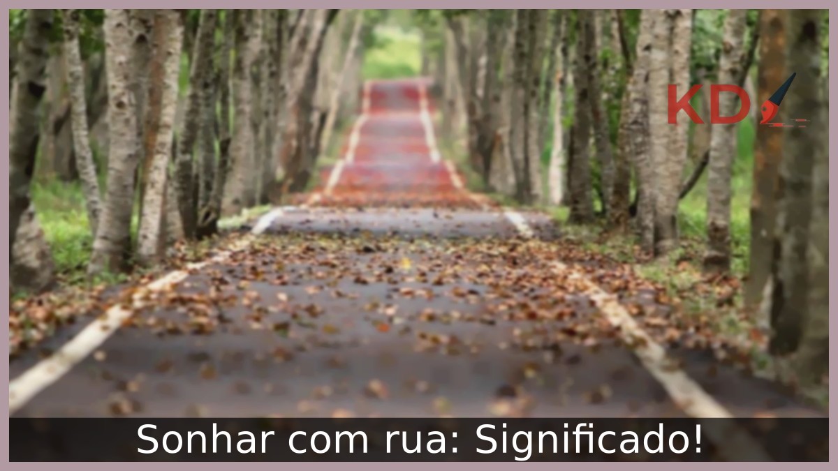 Sonhar com rua: Significado! 7 Sonhar com rua: Significado!