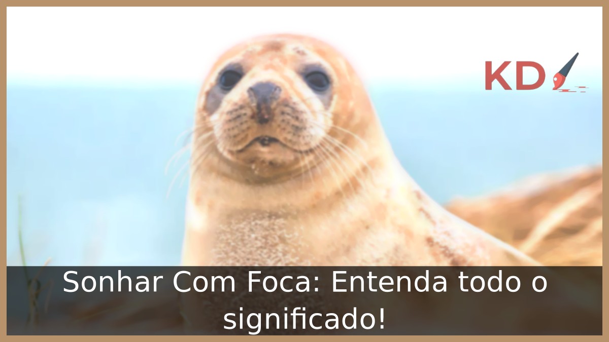 Sonhar Com Foca: Entenda todo o significado! 18 Sonhar Com Foca