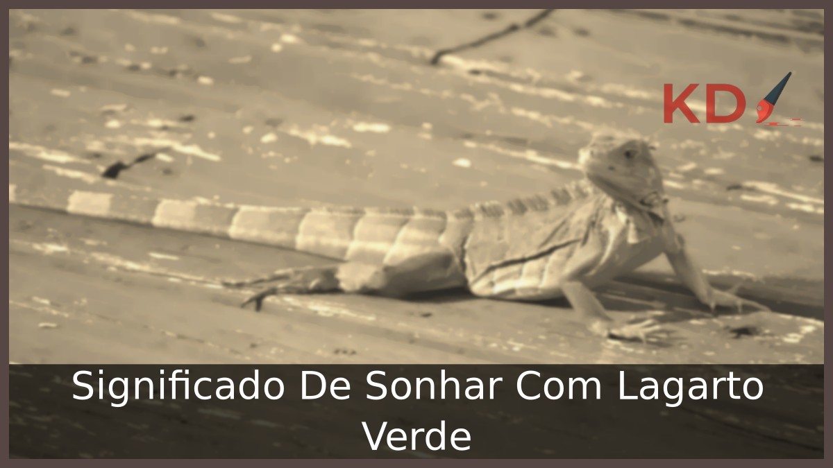 Sonhar Com Lagarto Verde: Real significado! 12 Sonhar Com Lagarto Verde