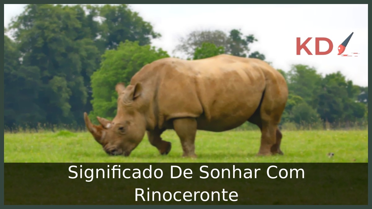 Sonhar Com Rinoceronte: Entenda o Significado! 1 Sonhar Com Rinoceronte