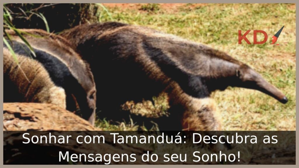 Sonhar com Tamanduá: Descubra as Mensagens do seu Sonho!