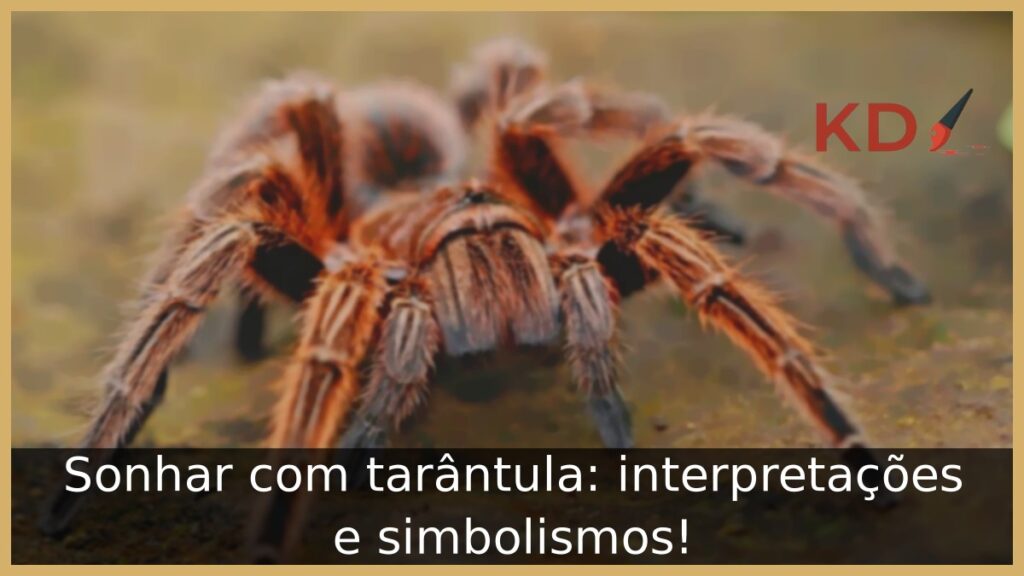 Sonhar com tarântula: interpretações e simbolismos!
