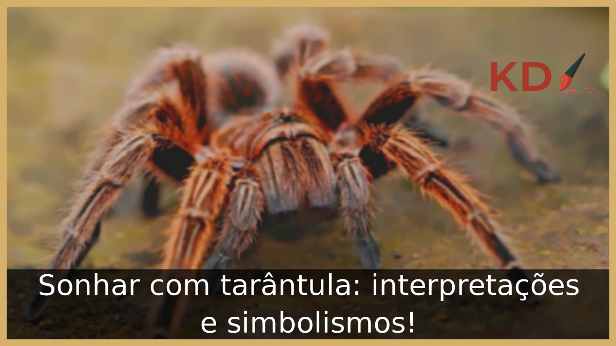 Sonhar com tarântula: interpretações e simbolismos! 3 Sonhar com tarântula: interpretações e simbolismos!