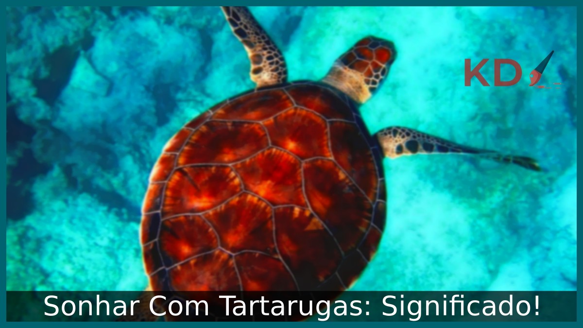 Sonhar Com Tartarugas: Significado! 5 Sonhar Com Tartarugas: Significado!