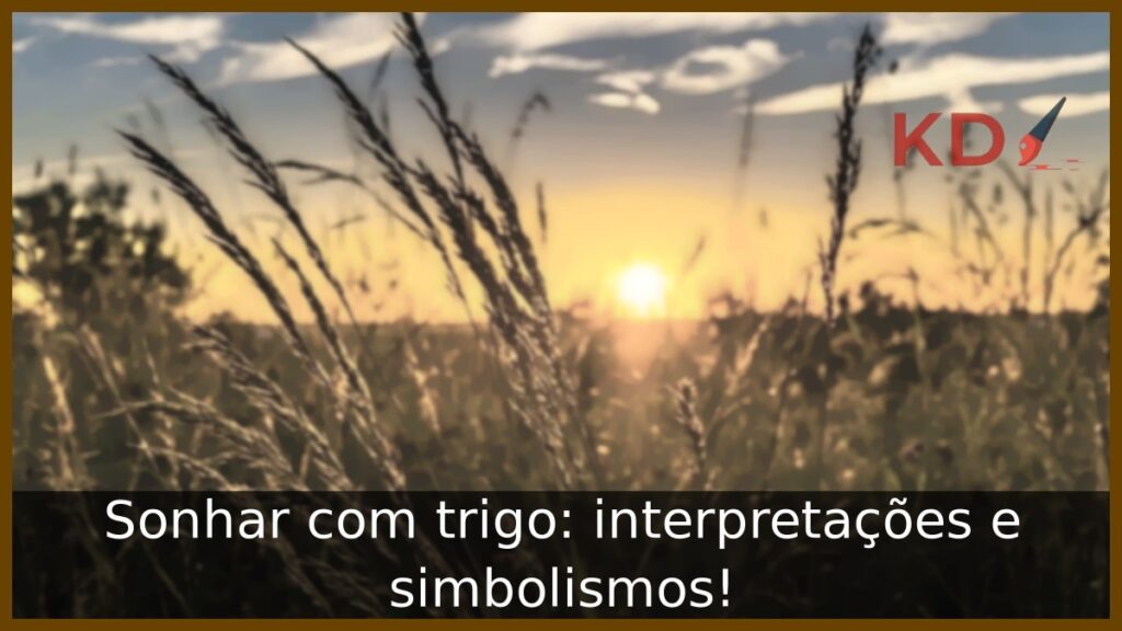 Sonhar com trigo: interpretações e simbolismos!