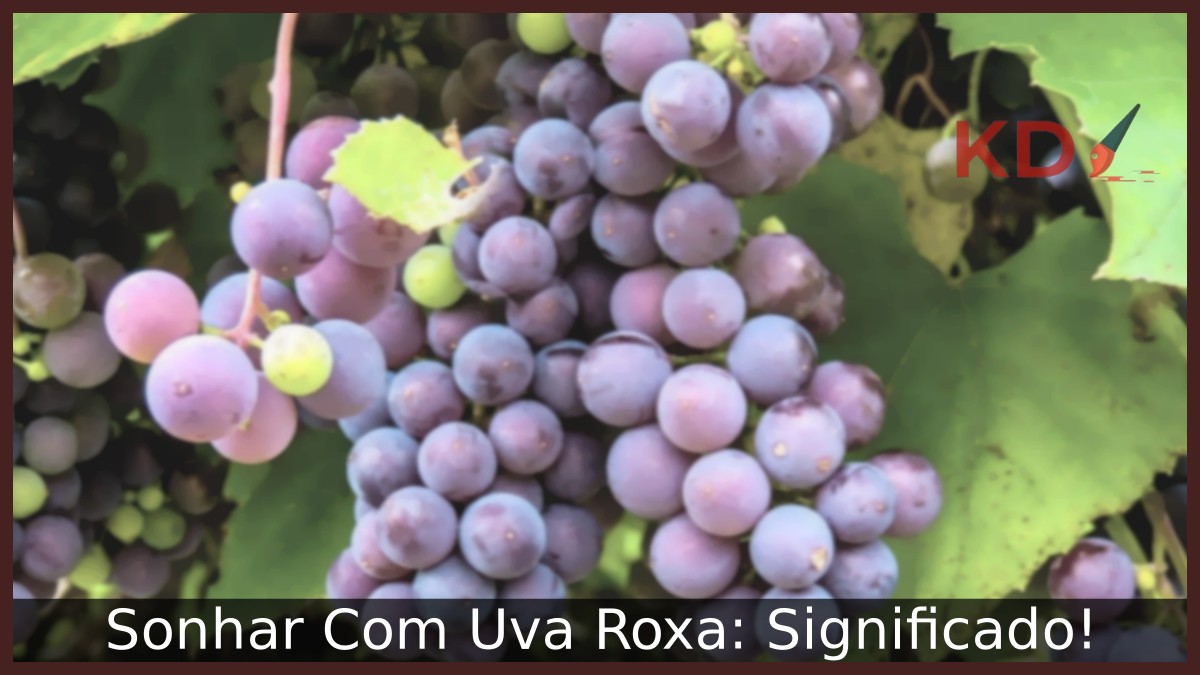 Sonhar Com Uva Roxa: Significado!