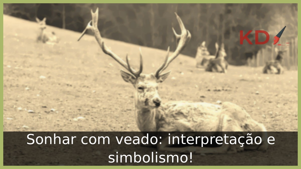 Sonhar com veado: interpretação e simbolismo! 11 Sonhar com veado: interpretação e simbolismo!