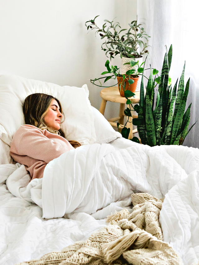 As 6 plantas que você DEVE ter no QUARTO que ajudam PEGAR NO SONO!