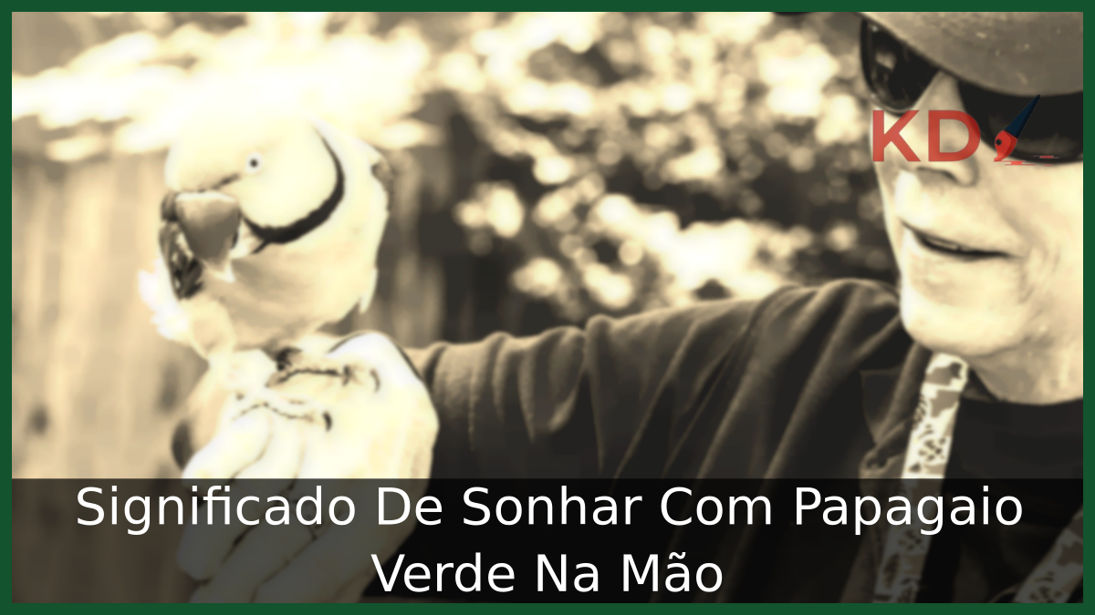 Descubra o Significado de Sonhar com Papagaio Verde na Mão